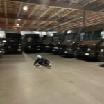 Corey Fogelmanis Instagram - a selection