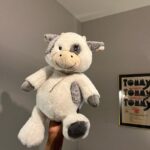 Corey Fogelmanis Instagram - a selection