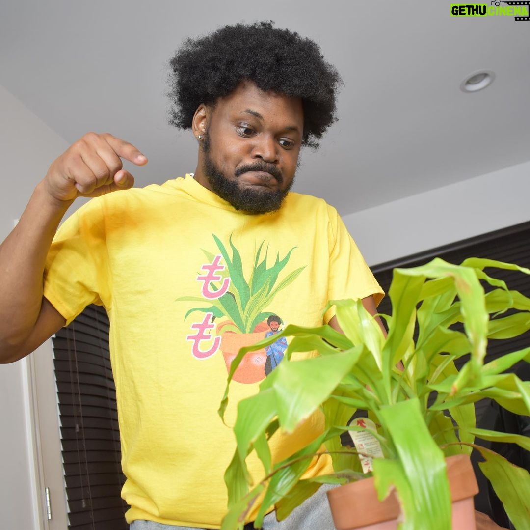 Cory Kenshin - 376.9K Likes - www.coryxkenshin.com. New merch. WE IN HERE. 2 weeks and then it’s all gone. GOGOGO