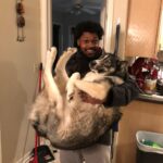 Cory Kenshin Instagram - If you look at Sam’s face it looks like he’s seen some things 😂lol this dude is like 60 pounds now!