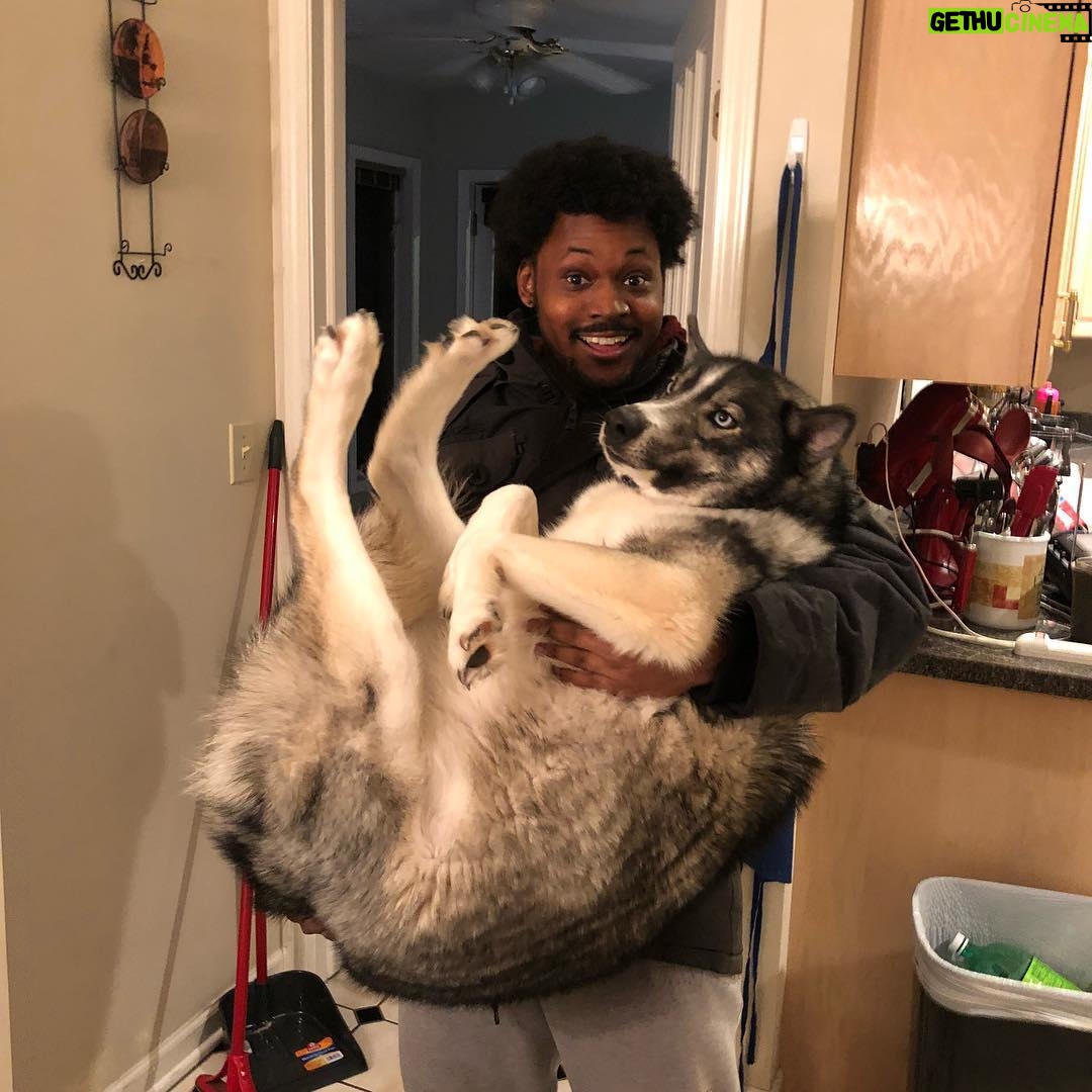 Cory Kenshin Instagram - If you look at Sam’s face it looks like he’s seen some things 😂lol this dude is like 60 pounds now!