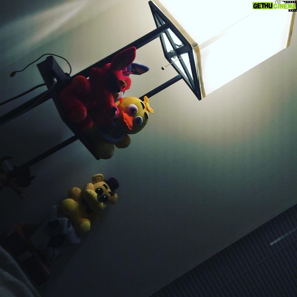 Cory Kenshin Instagram - They're always watching me... I'm just trying to relax but they're always watching... guys HELP me..