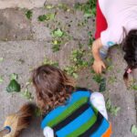 Cristián Riquelme Instagram – Me interesa mucho leerlos respecto a un TEMA que no es menor. Niños y teléfonos. Al menos nosotros como padres, hemos tomado la decisión de no exponerlos al celular hasta al menos los 12 años. Sabemos que no es fácil,  pero es nuestra opción.  Sé que hay opiniones divididas al respecto y me interesaría leerlos en comentarios. Con respeto, con ideas y enteder que los mueve a ponerles pantallas o no. Mis hijos,  tres veces a la semana pueden ver 20 minutos de monitos y listo. Pero celular nada. Por ejemplo,  ésta labor que ven en la foto es algo en la que siempre los incorporo , me ayudan ,aprenden y le gano tiempo a la llegada inminente de la tecnología a sus vidas.  Me interesa que desarrollen vida al aire libre, entiendan la dinámica de que el movimiento produce energia vital para luego descansar, más que estar sedentarios buscando la entretención. Y que aprendan a descubrir la mayor cantidad de cosas. No sé,  no soy experto sólo un padre tratando de hacerlo lo mejor posible. 
Los leo