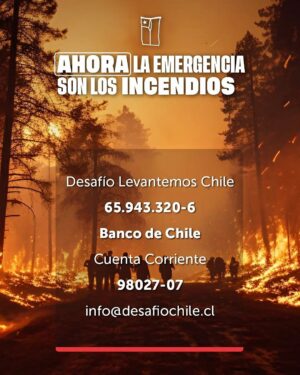 Cristián Riquelme Instagram - Ayuda concreta: www.soapbomberos.cl
@desafiochile 
@soapbomberos
