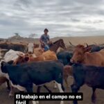 Cristián Riquelme Instagram – Mis hermanas son tan amorosas y dedicadas al campo…. #familia #hermanas #suscazuelasdemás
