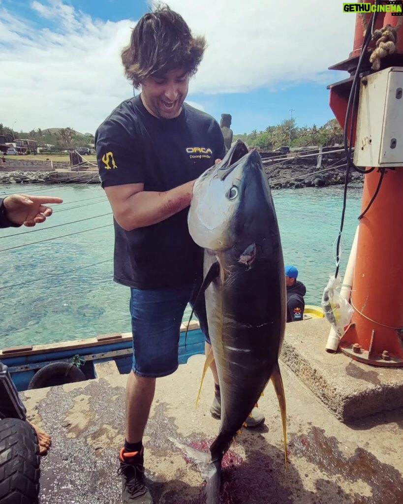Cristián Riquelme Instagram - 60 kilos de alimento, proveniente de las aguas más limpias del mundo y sustento de muchas familias en #Rapanui 📸 @michel_gavilan
