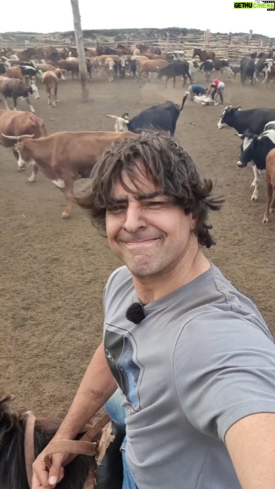 Cristián Riquelme Instagram - Con tierra hasta en la oreja, corneado por una vaca, pero viviendo una experiencia única. #rapanui
