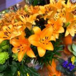 Cristina Pedroche Instagram - Hoy tocaba paseito.❤️ Me encanta el olor de las floristerías, me recuerda siempre a mi padre.🩷🌼 Y sí, los vaqueros no me abrochan pero ahora es moda, ¿no?😂 Para mí, sí🤣. Madrid, Spain