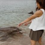 Cristine Reyes Instagram - I felt a surge of joy in my heart for a brief moment. 🐬 Subic Bay, Phillippines