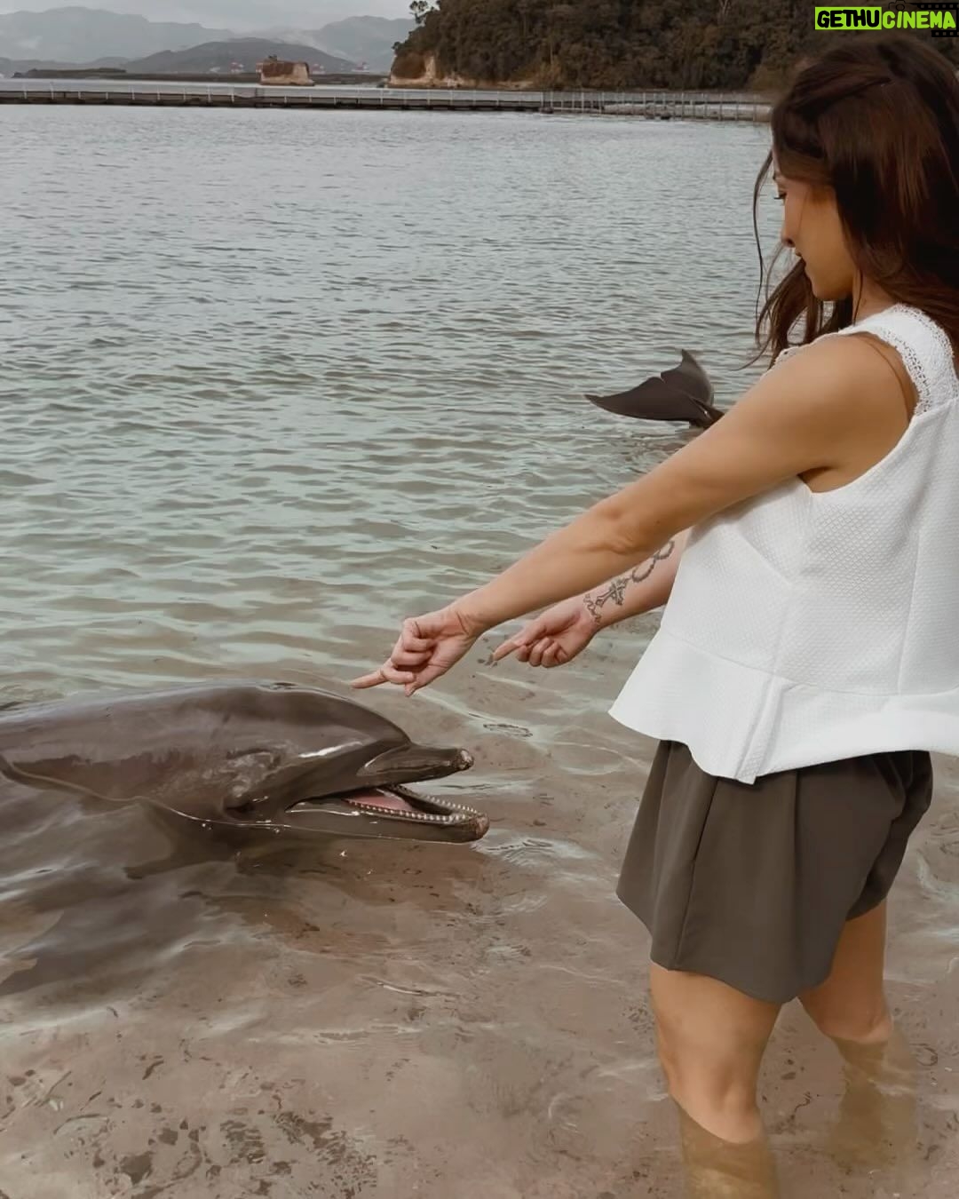 Cristine Reyes Instagram - I felt a surge of joy in my heart for a brief moment. 🐬 Subic Bay, Phillippines