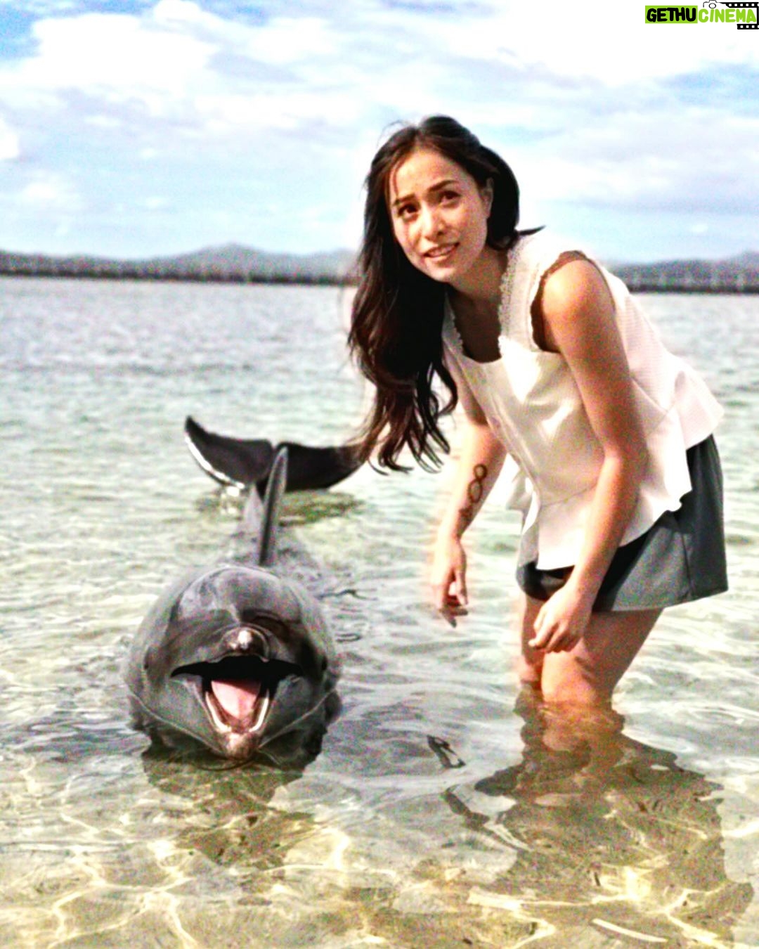 Cristine Reyes Instagram - I felt a surge of joy in my heart for a brief moment. 🐬 Subic Bay, Phillippines