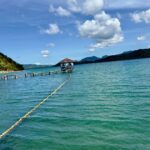 Cristine Reyes Instagram - Took a break from all the noise and stepped into a peaceful sanctuary. Connecting with what truly makes me happy and embraced my authentic self. 🌿☀️🥥✍️🧘🏻‍♀️ @hirayawellnessretreat 🩵 #mentalhealth #holisticwellness #palawanisland #palawanphilippines #ptsd #anxiety #mindfulness Palawan Philippines