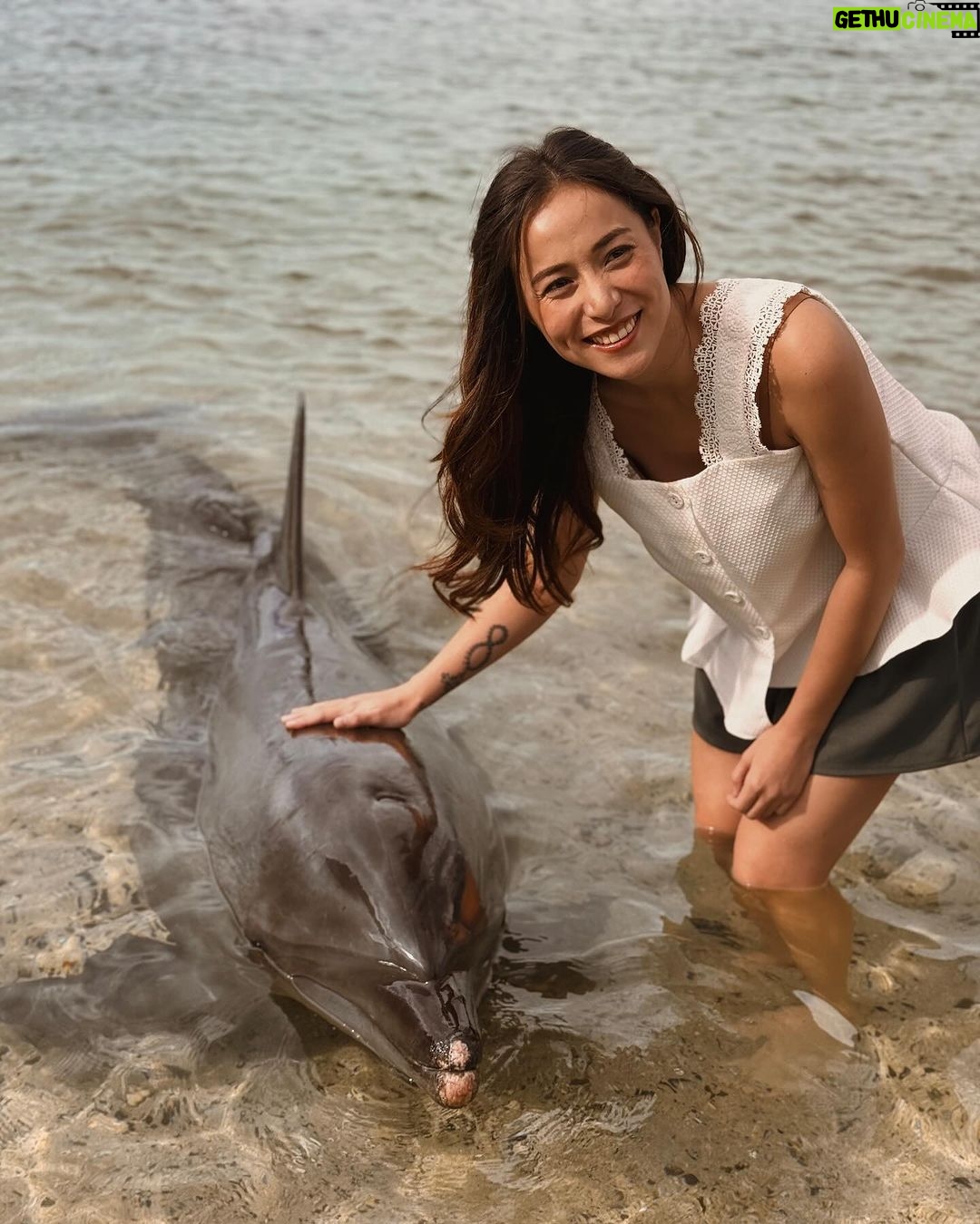 Cristine Reyes Instagram - I felt a surge of joy in my heart for a brief moment. 🐬 Subic Bay, Phillippines