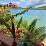 Cristine Reyes Instagram - Took a break from all the noise and stepped into a peaceful sanctuary. Connecting with what truly makes me happy and embraced my authentic self. 🌿☀️🥥✍️🧘🏻‍♀️ @hirayawellnessretreat 🩵 #mentalhealth #holisticwellness #palawanisland #palawanphilippines #ptsd #anxiety #mindfulness Palawan Philippines
