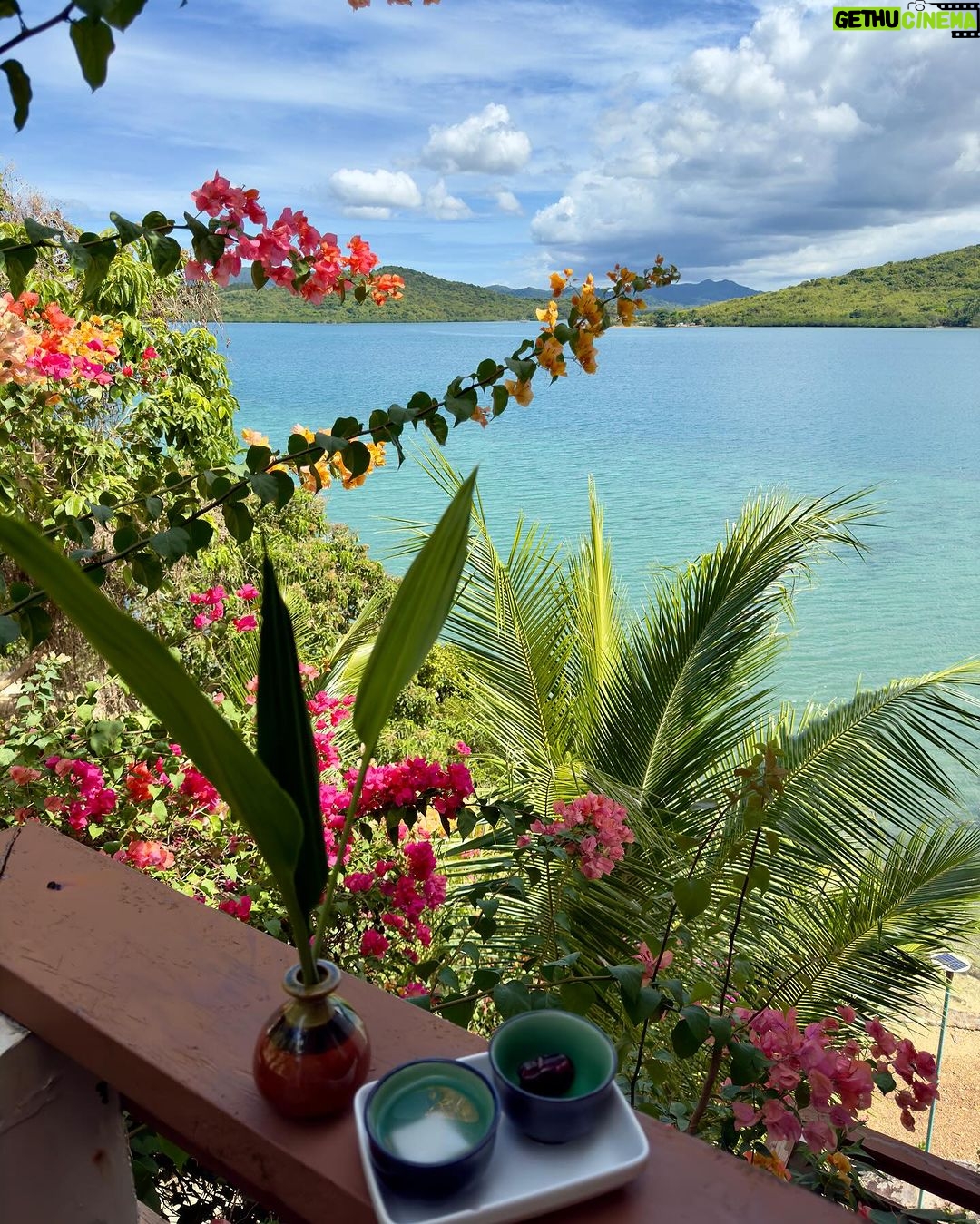 Cristine Reyes Instagram - Took a break from all the noise and stepped into a peaceful sanctuary. Connecting with what truly makes me happy and embraced my authentic self. 🌿☀️🥥✍️🧘🏻♀️ @hirayawellnessretreat 🩵 #mentalhealth #holisticwellness #palawanisland #palawanphilippines #ptsd #anxiety #mindfulness Palawan Philippines