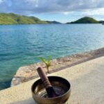 Cristine Reyes Instagram - Took a break from all the noise and stepped into a peaceful sanctuary. Connecting with what truly makes me happy and embraced my authentic self. 🌿☀️🥥✍️🧘🏻‍♀️ @hirayawellnessretreat 🩵 #mentalhealth #holisticwellness #palawanisland #palawanphilippines #ptsd #anxiety #mindfulness Palawan Philippines