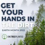 D.B. Woodside Instagram - I grew up in the Hudson Valley area of New York State. I’ve had a love for trees since I was 5 years old when I climbed them with reckless abandon. The smell, how they feel, the life that pulsates through them. Everything about trees, I love. Raising awareness for this important cause is near and dear to me. Please come check out what @onetreeplanted is doing for Mother Earth and how we all can help make a big difference just by doing a little. Join me on this adventure. 🌲 More info at the link in my bio! #earthmonth #onetreeplanted
