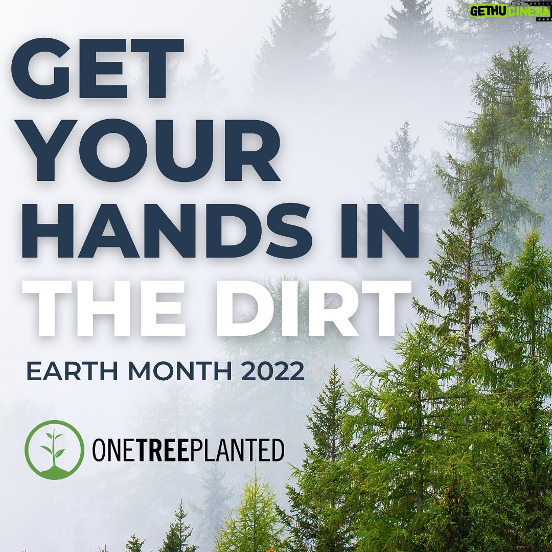 D.B. Woodside Instagram - I grew up in the Hudson Valley area of New York State. I’ve had a love for trees since I was 5 years old when I climbed them with reckless abandon. The smell, how they feel, the life that pulsates through them. Everything about trees, I love. Raising awareness for this important cause is near and dear to me. Please come check out what @onetreeplanted is doing for Mother Earth and how we all can help make a big difference just by doing a little. Join me on this adventure. 🌲 More info at the link in my bio! #earthmonth #onetreeplanted