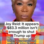 D.L. Hughley Instagram - HIT HIS EMPTY POCKETS AGAIN!!! 💥💥💥 #TeamDL @joyannreid : Former President Donald Trump continues to make defamatory comments about E. Jean Carroll, even after two rulings against him. @joyannreid asks former U.S. Attorney Harry Litman what Carroll would have to prove in order to get more money from the former president.