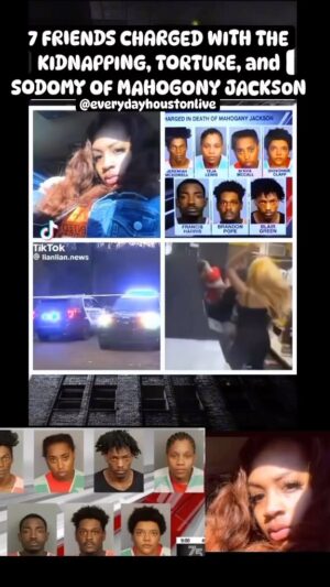 D.L. Hughley Instagram - Sounds to me like they gave up that search way too easily…
She dropped a damn pin, there’s no way I would’ve let the police let that go!! Rest In Peace love. My condolences to your family and loved ones. 🙏🏾♥️ #TeamDL 

Source - @everydayhoustonlive :
RIP #MahoganyJackson 
Here is one the best detailed wrap ups we could find and news release below

JEFFERSON COUNTY, Ala. (WBRC) - Leaders are asking the public to help a family who is already going through the unimaginable. The story is hard for some to listen to, and it has impacted not only Mahogany Jackson’s family and friends, but total strangers who were shaken by this shocking crime.

Family and friends gathered Thursday evening, Feb. 29, to honor Jackson’s life and legacy after police say she was held against her will and tortured before she was killed.

Birmingham Police have arrested seven people in connection with her death, and have said some of these people recorded parts of the attack on Jackson. We have received reports that the video is being found online.

That video was described by law enforcement as “heinous” and “disgusting.”

Jefferson County’s district attorney is pleading with the public to not share the video out of respect to the family.

“There’s some aspects of this situation I know are devastating to that family, and to see it reenacted on a video - it almost places you there, and then to see people share it over and over, and I know some people may be sharing it for entertainment value or whatever, which is sad in and of itself,” said Danny Carr. “At the end of the day, have some respect for them as well, have some respect for the family, have some respect for Mahogany.”

Police said that they are confident that they have all the suspects in this case in custody.