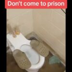 D.L. Hughley Instagram – THIS AIN’T WHAT YOU WANT!!! #TeamDL #streetlife

Source – @thesavoyshow :
Wow