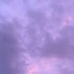 Dagi Bee Instagram - previously on my camera roll in #week33 🫧✨🌸🌻💕