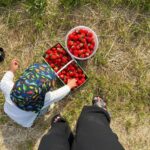 Dagi Bee Instagram – my last week 🍓🥛🌾💕
Die letzte Woche habe ich auch mit der vlogging Kamera begleitet & am Sonntag kommt nach laaanger langer Zeit mal wieder ein wochenvlog online, auf den ihr euch echt freuen könnt 😍 es ist so viel passiert! Von @casa_mara  Kollektion Besprechung bis zu unserem Hafermilch-Projekt, Beauty-Doc Behandlungen, Erdbeerpflücken & Tv Auftritten ist alles dabei! Crazy Week #24 !