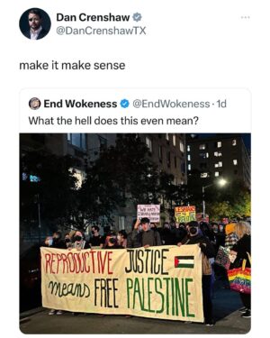 Dan Crenshaw Instagram - Woke intersectionality is a mental illness at this point