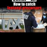 Dan Crenshaw Instagram – Most people think fentanyl only comes to the US in its final form as the deadly poison killing tens of thousands of Americans each year. That used to be the case, but President Trump got China to crack down on illegal fentanyl exports. But Chinese suppliers still illegally export the precursor chemicals for fentanyl. Most people think those go straight to Mexico but the reality is much of it comes straight to the US right here through LA.

These precursors are hidden in legitimate commercial cargo and make their way to Mexico, where they are combined to make fentanyl and pressed into pills. CBP has to find these chemicals somehow, while competing with high volume, time constraints, and forged manifests. They’re finding a lot, but not everything. And it doesn’t help when dozens of their agents have to go deal with the crisis at the southern border.

So what can be done? Simple changes to law — like higher penalties for falsified manifests — can start to crack down on those fueling the crisis. Let’s start there.