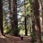 Dan Levy Instagram – At one with nātûré. ✨ Big Sur, California