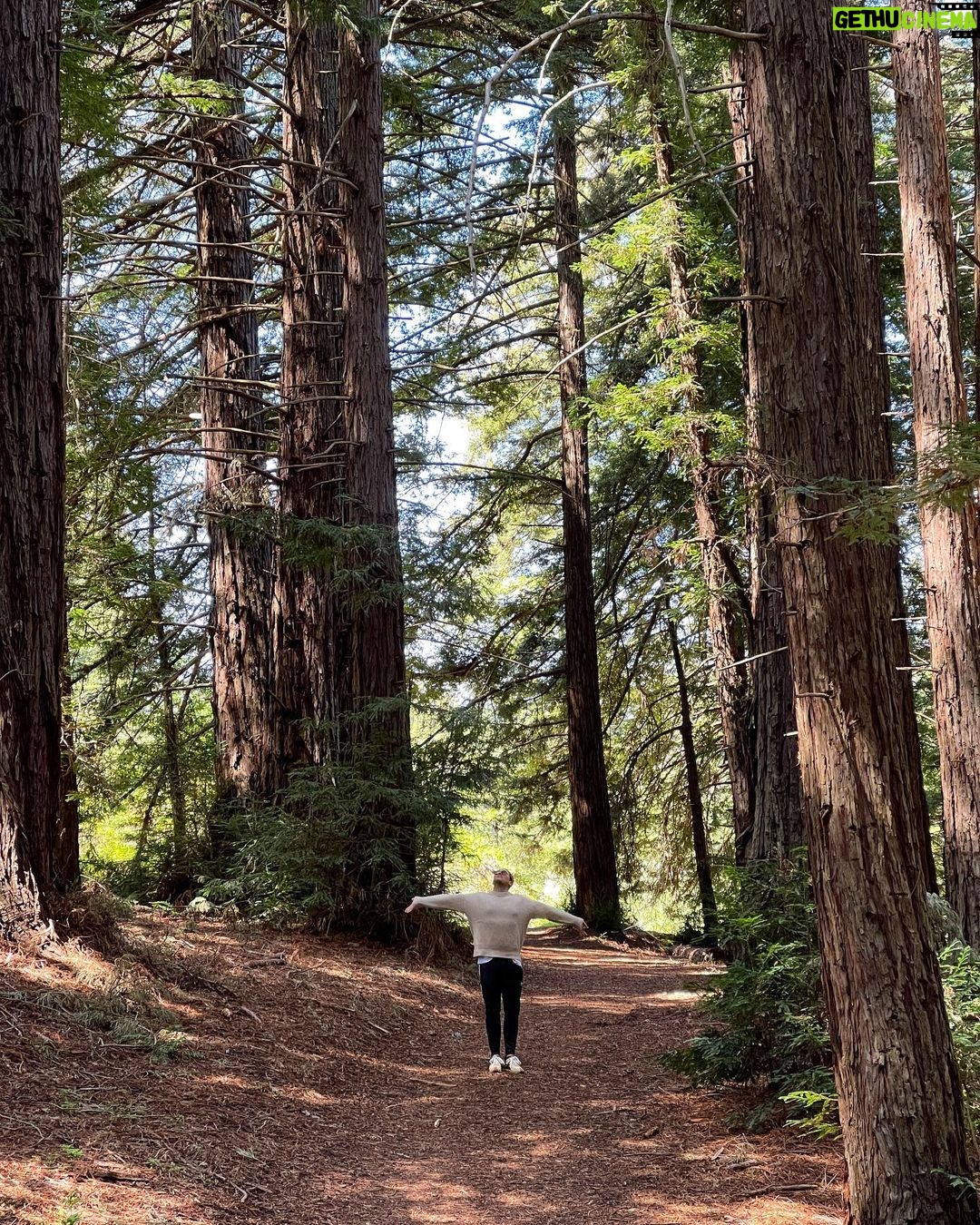Dan Levy - 362.5K Likes - At one with nātûré. ✨
