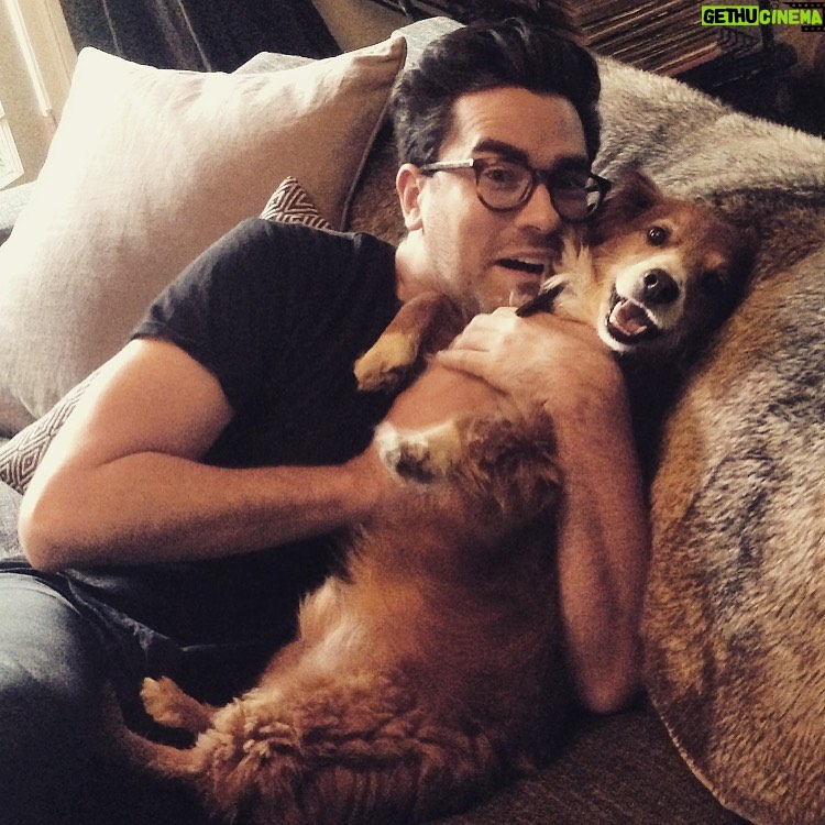 Dan Levy Instagram - I adopted Redmond when he was four years old. He had been mistreated and abandoned at an adoption fair in Los Angeles. Finding him was the greatest thing that ever happened to me. If you are looking for a pet, first make sure you’ve thought it through and that you have the means to care for them properly, THEN please please please consider adopting. There are so many animals just waiting for a better life. #cleartheshelters