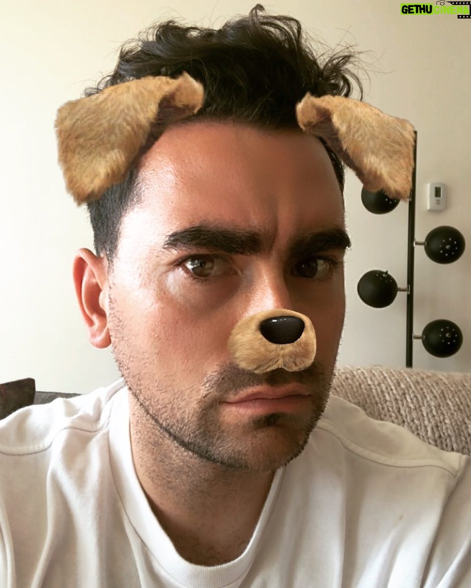 Dan Levy Instagram - “Desperate adult celebrates birthday by clinging to youth for dear life.”