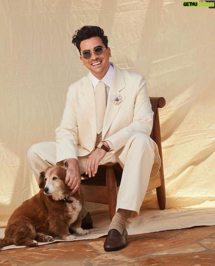 Dan Levy Instagram - Missing my pup today. If you’ve thought (carefully) about getting a pet this holiday, I highly encourage you to rescue/foster one. Many shelters are full right now and could use some relief. Something to think about. X 📸 @mattymarty