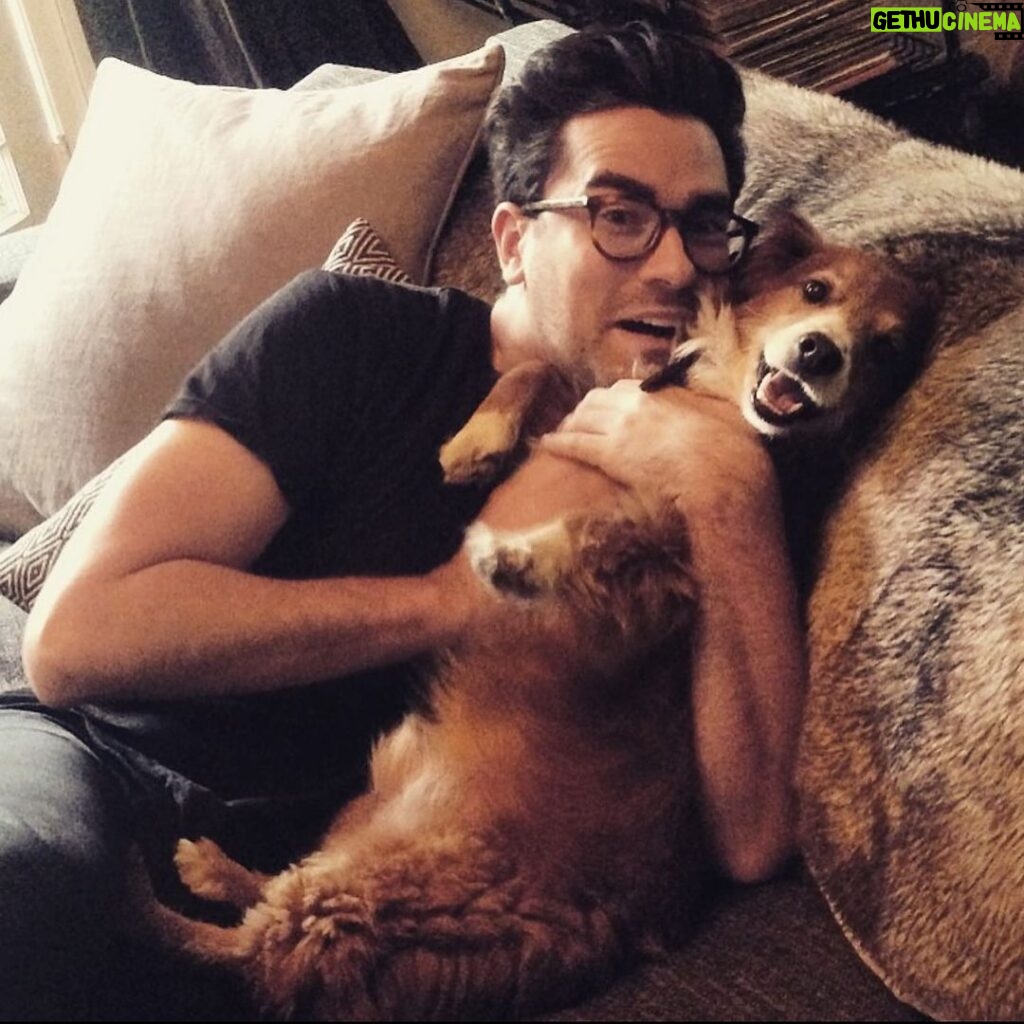 Dan Levy Instagram - Last week I lost my best friend. Heartbroken but grateful for every minute of the last ten years that I got to spend with him. I love you, my sweet boy. ❤️