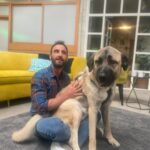 Dani Rovira Instagram – En breve podréis disfrutar de #UnDíaDePerros en @rtveplay 
Estoy acompañado de dos amigos y educadores/terapeutas caninos formidables como @eli_nimitable y #SantiVidal (@mas_que_guau) 

Tendremos charlas maravillosas con  invitados de lujo de diferentes ámbitos (cine, literatura, política, teatro, música, moda…) hablando de lo que más nos gusta, los perros. Y rodeados toooooodo el rato de ellos. 

Un programa comprometido con el bienestar animal, la educación canina y el buen humor. 

Dirigido por Ángela Gallardo y @rafaelmunozrodriguez 

Qué ganas de que pronto lo podáis oír (y ver), para aprender, empatizar y divertirnos. ♥️ 🐕 

@rtvecomunicacion

Por cierto, este cachorrón de mastín es #Brugal y está en adopción. Es todo amor. Preguntad en @salvandopeludos_elcampito