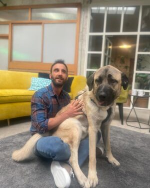 Dani Rovira Instagram - En breve podréis disfrutar de #UnDíaDePerros en @rtveplay 
Estoy acompañado de dos amigos y educadores/terapeutas caninos formidables como @eli_nimitable y #SantiVidal (@mas_que_guau) 

Tendremos charlas maravillosas con  invitados de lujo de diferentes ámbitos (cine, literatura, política, teatro, música, moda…) hablando de lo que más nos gusta, los perros. Y rodeados toooooodo el rato de ellos. 

Un programa comprometido con el bienestar animal, la educación canina y el buen humor. 

Dirigido por Ángela Gallardo y @rafaelmunozrodriguez 

Qué ganas de que pronto lo podáis oír (y ver), para aprender, empatizar y divertirnos. ♥️ 🐕 

@rtvecomunicacion

Por cierto, este cachorrón de mastín es #Brugal y está en adopción. Es todo amor. Preguntad en @salvandopeludos_elcampito