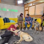 Dani Rovira Instagram – En breve podréis disfrutar de #UnDíaDePerros en @rtveplay 
Estoy acompañado de dos amigos y educadores/terapeutas caninos formidables como @eli_nimitable y #SantiVidal (@mas_que_guau) 

Tendremos charlas maravillosas con  invitados de lujo de diferentes ámbitos (cine, literatura, política, teatro, música, moda…) hablando de lo que más nos gusta, los perros. Y rodeados toooooodo el rato de ellos. 

Un programa comprometido con el bienestar animal, la educación canina y el buen humor. 

Dirigido por Ángela Gallardo y @rafaelmunozrodriguez 

Qué ganas de que pronto lo podáis oír (y ver), para aprender, empatizar y divertirnos. ♥️ 🐕 

@rtvecomunicacion

Por cierto, este cachorrón de mastín es #Brugal y está en adopción. Es todo amor. Preguntad en @salvandopeludos_elcampito
