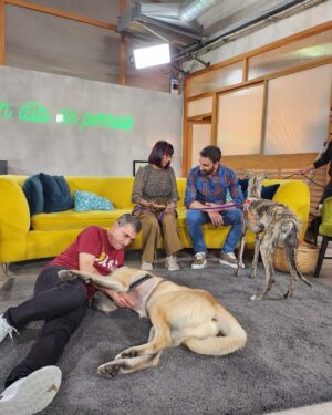 Dani Rovira Instagram - En breve podréis disfrutar de #UnDíaDePerros en @rtveplay 
Estoy acompañado de dos amigos y educadores/terapeutas caninos formidables como @eli_nimitable y #SantiVidal (@mas_que_guau) 

Tendremos charlas maravillosas con  invitados de lujo de diferentes ámbitos (cine, literatura, política, teatro, música, moda…) hablando de lo que más nos gusta, los perros. Y rodeados toooooodo el rato de ellos. 

Un programa comprometido con el bienestar animal, la educación canina y el buen humor. 

Dirigido por Ángela Gallardo y @rafaelmunozrodriguez 

Qué ganas de que pronto lo podáis oír (y ver), para aprender, empatizar y divertirnos. ♥️ 🐕 

@rtvecomunicacion

Por cierto, este cachorrón de mastín es #Brugal y está en adopción. Es todo amor. Preguntad en @salvandopeludos_elcampito