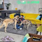Dani Rovira Instagram – En breve podréis disfrutar de #UnDíaDePerros en @rtveplay 
Estoy acompañado de dos amigos y educadores/terapeutas caninos formidables como @eli_nimitable y #SantiVidal (@mas_que_guau) 

Tendremos charlas maravillosas con  invitados de lujo de diferentes ámbitos (cine, literatura, política, teatro, música, moda…) hablando de lo que más nos gusta, los perros. Y rodeados toooooodo el rato de ellos. 

Un programa comprometido con el bienestar animal, la educación canina y el buen humor. 

Dirigido por Ángela Gallardo y @rafaelmunozrodriguez 

Qué ganas de que pronto lo podáis oír (y ver), para aprender, empatizar y divertirnos. ♥️ 🐕 

@rtvecomunicacion

Por cierto, este cachorrón de mastín es #Brugal y está en adopción. Es todo amor. Preguntad en @salvandopeludos_elcampito