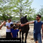 Dani Rovira Instagram – • @fundacionochotumbao Qué inmensa es la felicidad que sentimos cuando la energía puesta en una causa se materializa en la realidad. 💫 ¡Justo lo que hemos vivido con @salvandopeludos_elcampito! 🐗🐶 

Nuestros patronos @danirovira y @d10solano han visitado las instalaciones recién ampliadas gracias a la recaudación del espectáculo solidario ‘Faltándonos al respeto’. 🎭 

Podríamos hablar de la cantidad recaudada -8.027 euros, ¡GRACIAS! 🙌-, pero el significado es mucho mayor: bienestar y seguridad para decenas de animales. 🐈

Gracias a nuestros amigos del alma @arturogcampos, @jj_vaquero e @inakiurrutia por subirse al escenario con nuestro cofundador y hacer magia desde el humor y la solidaridad. 🫶

En estas 📷 podéis ver un poquito más de esta visita. 🧡 ¡GRACIAS por ayudarnos una vez más a ayudar!

#Ochotumbao