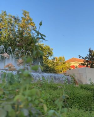 Dani Rovira Instagram - Tus calles mil veces pisadas me siguen enamorando como la primera vez. Pero te vivo como si, cada vez, fuera la última. 
#Granada ♥️