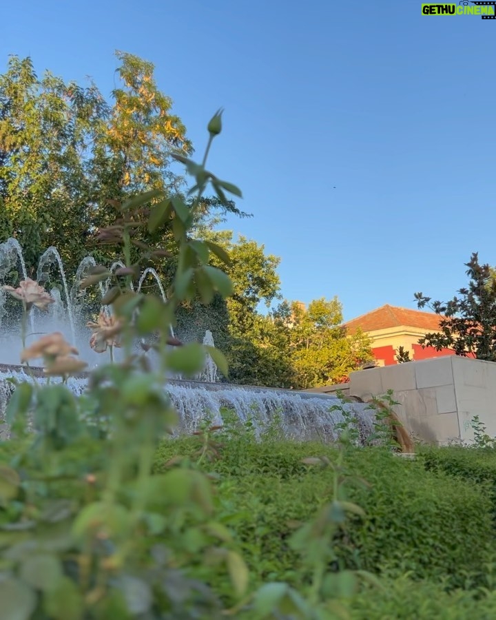 Dani Rovira - 47.4K Likes - Tus calles mil veces pisadas me siguen enamorando como la primera vez. Pero te vivo como si, cada vez, fuera la última.
#Granada ♥️