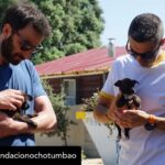 Dani Rovira Instagram – • @fundacionochotumbao Qué inmensa es la felicidad que sentimos cuando la energía puesta en una causa se materializa en la realidad. 💫 ¡Justo lo que hemos vivido con @salvandopeludos_elcampito! 🐗🐶 

Nuestros patronos @danirovira y @d10solano han visitado las instalaciones recién ampliadas gracias a la recaudación del espectáculo solidario ‘Faltándonos al respeto’. 🎭 

Podríamos hablar de la cantidad recaudada -8.027 euros, ¡GRACIAS! 🙌-, pero el significado es mucho mayor: bienestar y seguridad para decenas de animales. 🐈

Gracias a nuestros amigos del alma @arturogcampos, @jj_vaquero e @inakiurrutia por subirse al escenario con nuestro cofundador y hacer magia desde el humor y la solidaridad. 🫶

En estas 📷 podéis ver un poquito más de esta visita. 🧡 ¡GRACIAS por ayudarnos una vez más a ayudar!

#Ochotumbao