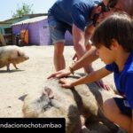 Dani Rovira Instagram – • @fundacionochotumbao Qué inmensa es la felicidad que sentimos cuando la energía puesta en una causa se materializa en la realidad. 💫 ¡Justo lo que hemos vivido con @salvandopeludos_elcampito! 🐗🐶 

Nuestros patronos @danirovira y @d10solano han visitado las instalaciones recién ampliadas gracias a la recaudación del espectáculo solidario ‘Faltándonos al respeto’. 🎭 

Podríamos hablar de la cantidad recaudada -8.027 euros, ¡GRACIAS! 🙌-, pero el significado es mucho mayor: bienestar y seguridad para decenas de animales. 🐈

Gracias a nuestros amigos del alma @arturogcampos, @jj_vaquero e @inakiurrutia por subirse al escenario con nuestro cofundador y hacer magia desde el humor y la solidaridad. 🫶

En estas 📷 podéis ver un poquito más de esta visita. 🧡 ¡GRACIAS por ayudarnos una vez más a ayudar!

#Ochotumbao