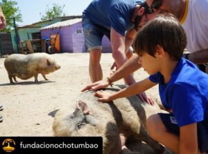 Dani Rovira Instagram - • @fundacionochotumbao Qué inmensa es la felicidad que sentimos cuando la energía puesta en una causa se materializa en la realidad. 💫 ¡Justo lo que hemos vivido con @salvandopeludos_elcampito! 🐗🐶 

Nuestros patronos @danirovira y @d10solano han visitado las instalaciones recién ampliadas gracias a la recaudación del espectáculo solidario 'Faltándonos al respeto'. 🎭 

Podríamos hablar de la cantidad recaudada -8.027 euros, ¡GRACIAS! 🙌-, pero el significado es mucho mayor: bienestar y seguridad para decenas de animales. 🐈

Gracias a nuestros amigos del alma @arturogcampos, @jj_vaquero e @inakiurrutia por subirse al escenario con nuestro cofundador y hacer magia desde el humor y la solidaridad. 🫶

En estas 📷 podéis ver un poquito más de esta visita. 🧡 ¡GRACIAS por ayudarnos una vez más a ayudar!

#Ochotumbao