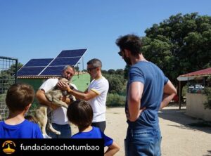 Dani Rovira Instagram - • @fundacionochotumbao Qué inmensa es la felicidad que sentimos cuando la energía puesta en una causa se materializa en la realidad. 💫 ¡Justo lo que hemos vivido con @salvandopeludos_elcampito! 🐗🐶 

Nuestros patronos @danirovira y @d10solano han visitado las instalaciones recién ampliadas gracias a la recaudación del espectáculo solidario 'Faltándonos al respeto'. 🎭 

Podríamos hablar de la cantidad recaudada -8.027 euros, ¡GRACIAS! 🙌-, pero el significado es mucho mayor: bienestar y seguridad para decenas de animales. 🐈

Gracias a nuestros amigos del alma @arturogcampos, @jj_vaquero e @inakiurrutia por subirse al escenario con nuestro cofundador y hacer magia desde el humor y la solidaridad. 🫶

En estas 📷 podéis ver un poquito más de esta visita. 🧡 ¡GRACIAS por ayudarnos una vez más a ayudar!

#Ochotumbao