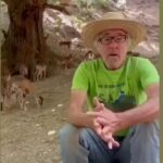 Dani Rovira Instagram – • @partidopacma La @ecoreservaojen (Málaga) rescata y acoge a muchísimos animales heridos, enfermos o necesitados de un hogar donde recuperarse. Ahora, está sufriendo un auténtico acoso por parte de la @andaluciajunta. Lo cuenta en este vídeo Antonio, su responsable.

https://chng.it/QJXwTzBY