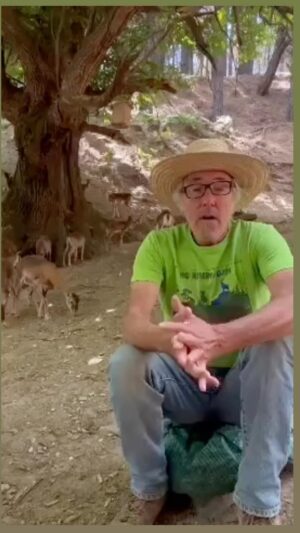 Dani Rovira Instagram - • @partidopacma La @ecoreservaojen (Málaga) rescata y acoge a muchísimos animales heridos, enfermos o necesitados de un hogar donde recuperarse. Ahora, está sufriendo un auténtico acoso por parte de la @andaluciajunta. Lo cuenta en este vídeo Antonio, su responsable.

https://chng.it/QJXwTzBY