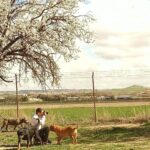 Dani Rovira Instagram – • @chuchosconclase Rompe la primavera y le decimos adiós al invierno.

Toda la finca se llena de olor a flores y los almendros se ponen blancos preciosos.

Vienen abejas a polinizar y cuando paseas por debajo de los árboles se escucha un fuerte zumbido.

Los días empiezan a ser más largos y esto hace más fácil trabajar determinadas cosas con los perros. El otro día tuvimos sesión de fotos, ya os iremos enseñando.

El próximo martes nos llega por fin el material que estábamos esperando para mejorar las instalaciones para este verano. 

Cuanto más a gusto se sienten ellos también nosotros, así que vamos a poner lo que esté en nuestra mano para que así sea.

Si alguien quiere colaborar con los gastos que nos ha supuesto está inversión ya sabéis cómo hacerlo. Aquí abajo os dejo las formas que tenéis de ayudarnos.

Contacto:
💌 chuchosconclase@gmail.com

📞 674969679

➡️ Como puedes ayudarnos:

▪️Haz teaming por solo 1€ al mes:

www.teaming.net/a-p-achuchossincasa

▪️Haz un donativo:

www.paypal.me/chuchossincasa

▶️Nuestra cuenta:

ES48 2100 4814 8522 0005 5221

Titular: A.P.A. Chuchos Sin Casa

Vamos a seguir luchando por estos perros condenados, siempre, preparándonos para lo que venga y poniendo este cada vez más apañado para ellos.

Toda lucha tiene su sacrificio.
Todo trabajo tiene su recompensa.

Gracias por el apoyo siempre gente. Sois la hostia. 

Que paséis un buen fin de semana.

#lavidaperralavidamejor
#noessuerteessacrificio
#conclaseysinetiquetas #dogskull #perrossuciosperrosfelices #trabajandosobrelaenergia #psicologiacanina #chuchossincasa #chuchosconclase